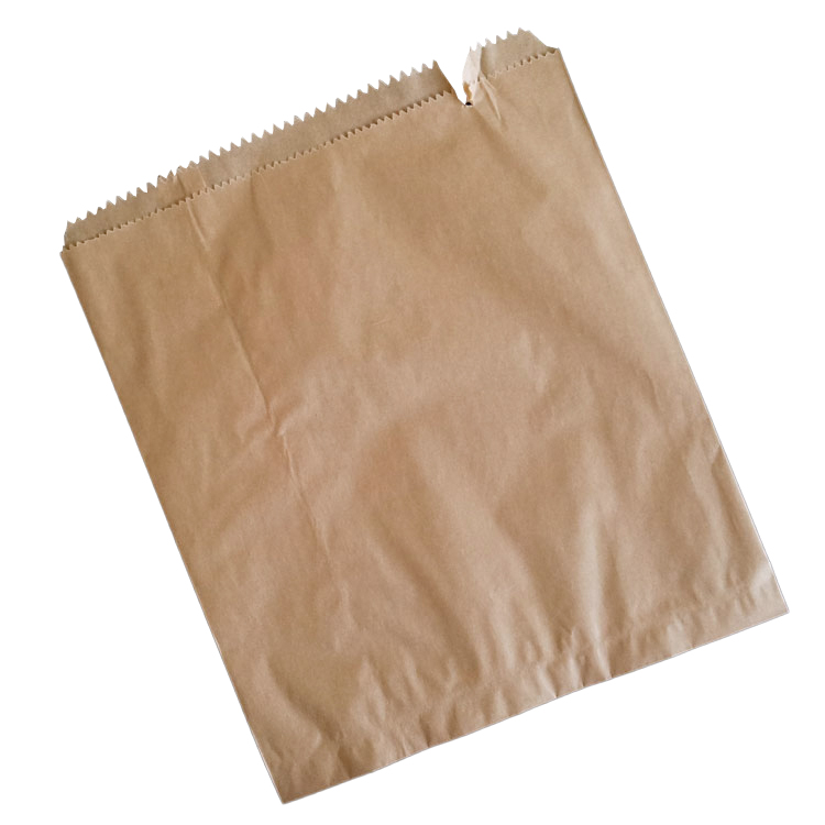 Brown Kraft Paper Bags, 16